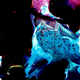 Illustration for article titled Can you guess the medium used to create these art pieces?